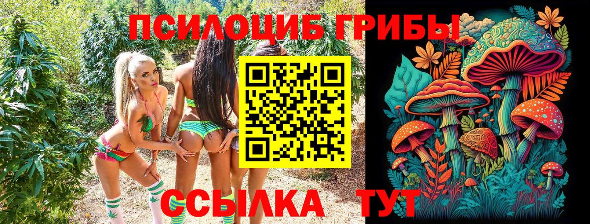 Архангельск  Псилоцибиновые грибы MAGIC MUSHROOMS  Галлюциногенные грибы Magic Shrooms  Вход с VPN 