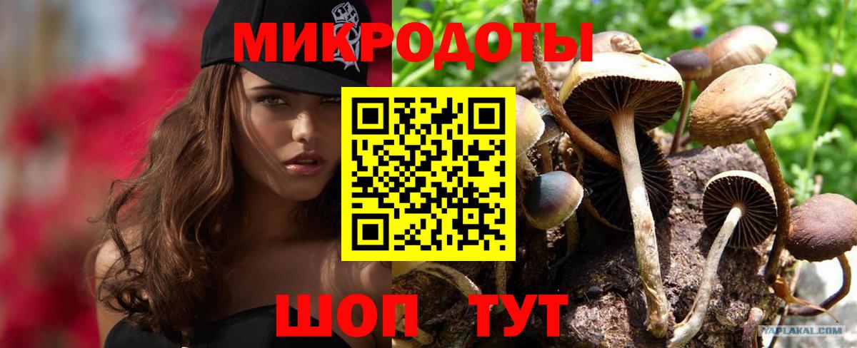Галлюциногенные грибы мухоморы Архангельск